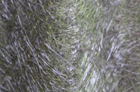 Pilford fibreglass roof work